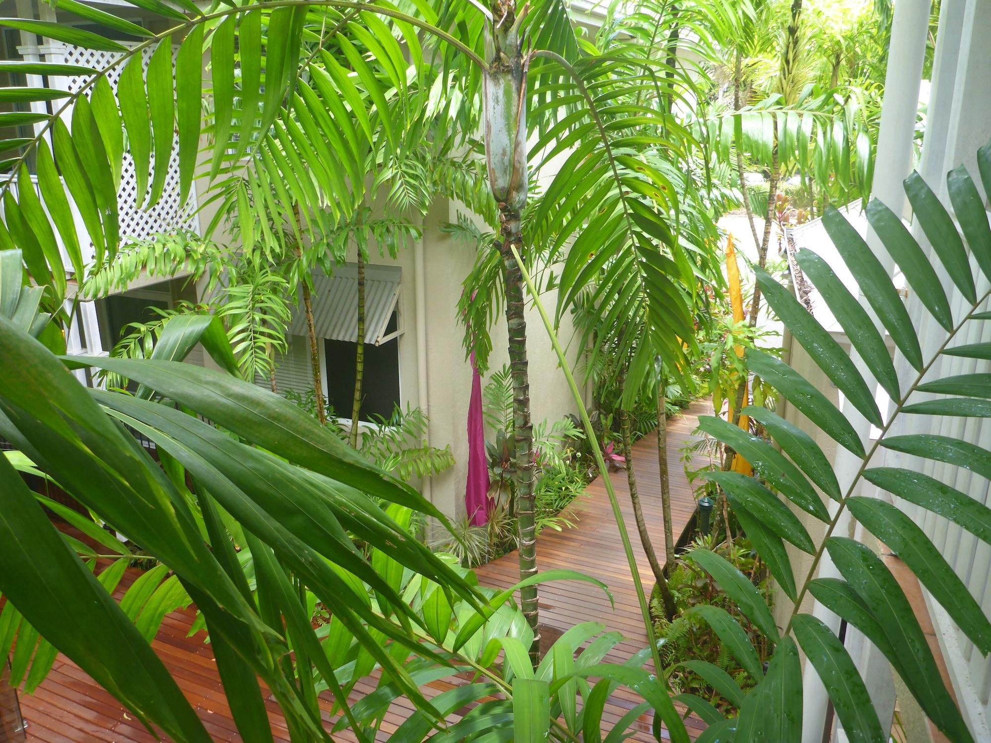 Palm Cove Tropic Apartments Εξωτερικό φωτογραφία