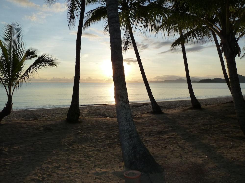 Palm Cove Tropic Apartments Εξωτερικό φωτογραφία
