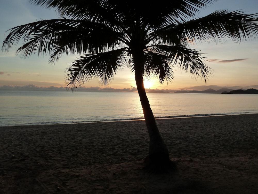 Palm Cove Tropic Apartments Εξωτερικό φωτογραφία