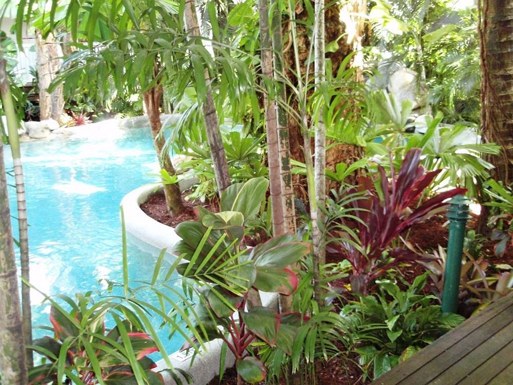 Palm Cove Tropic Apartments Εξωτερικό φωτογραφία